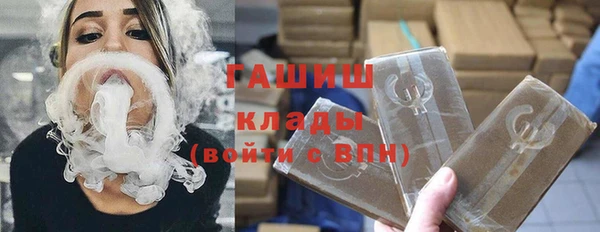 спиды Ельня