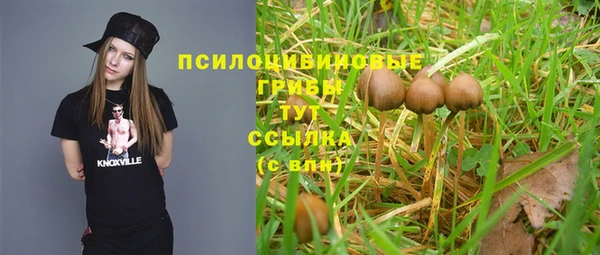 соль курить ск Алзамай